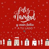 Pudebetrk Belum Laponia Multifarvet 50 x 50 cm #3