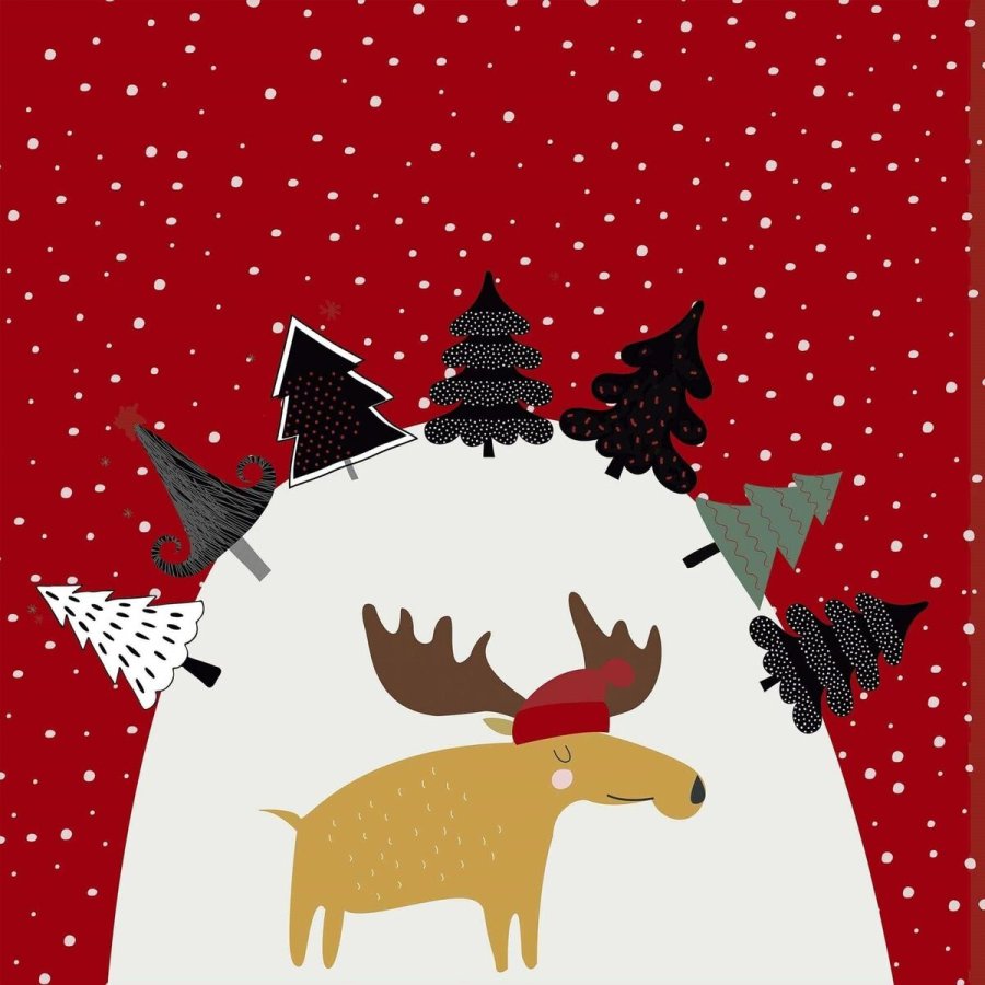 Pudebetrk Belum Laponia Multifarvet 50 x 50 cm #3