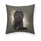 Pudebetrk Harry Potter Hagrid Multifarvet 50 x 50 cm #1