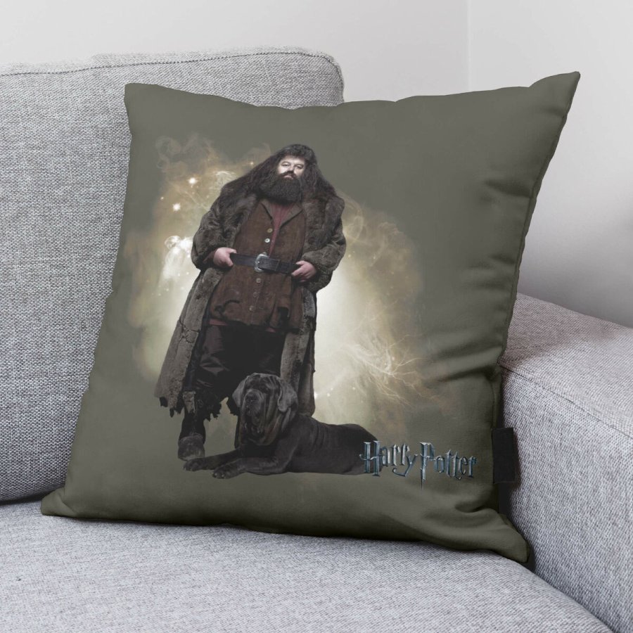 Pudebetrk Harry Potter Hagrid Multifarvet 50 x 50 cm #2