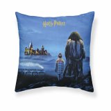 Pudebetrk Harry Potter Philosopher's Stone Multifarvet 50 x 50 cm #1