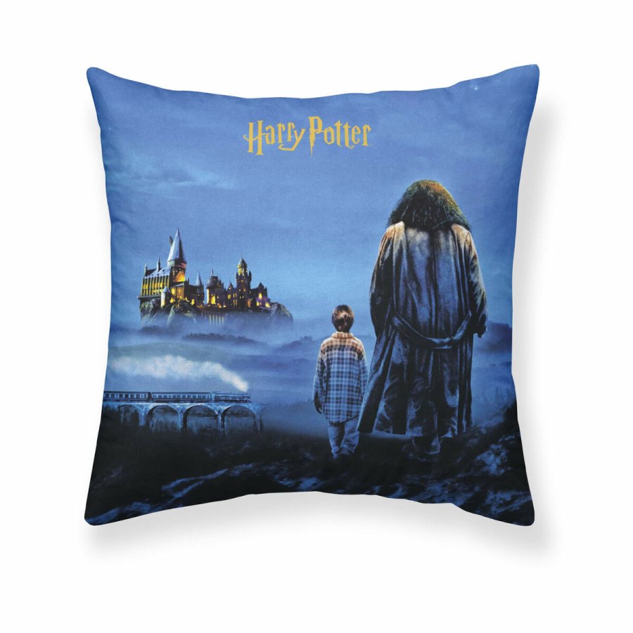 Pudebetrk Harry Potter Philosopher's Stone Multifarvet 50 x 50 cm #1