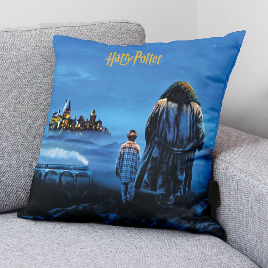 Pudebetrk Harry Potter Philosopher's Stone Multifarvet 50 x 50 cm #2