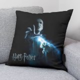 Pudebetrk Harry Potter Voldemort Multifarvet 50 x 50 cm #2