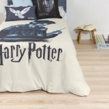 Nordisk cover Harry Potter Multifarvet 175 Trde 155 x 220 cm Seng 90 #5