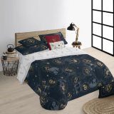 Dynebetrk st Harry Potter Multifarvet Seng 120 200 x 200 cm #5