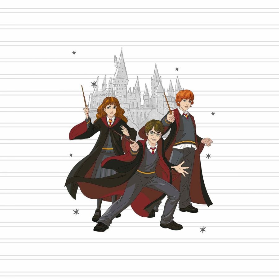Nordisk cover Harry Potter Team Multifarvet 175 Trde 140 x 200 cm Seng 80 #4