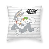 Pudebetrk Looney Tunes Looney Characters A Multifarvet 45 x 45 cm #1