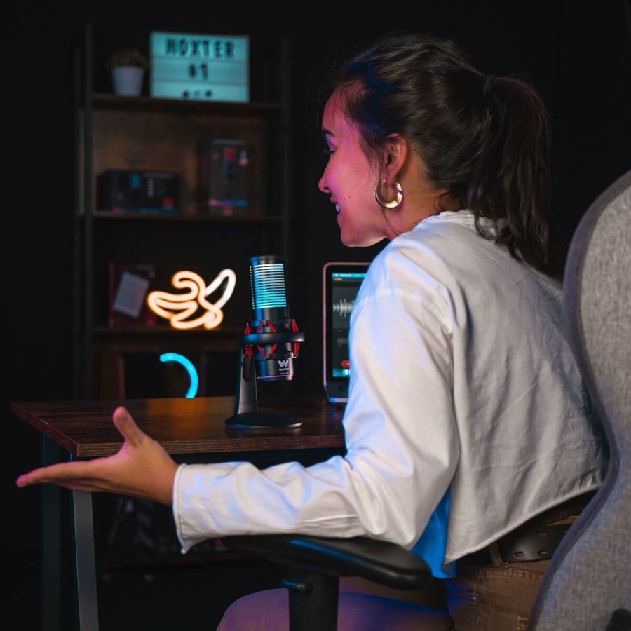 Mikrofon Woxter WE26-029 #3