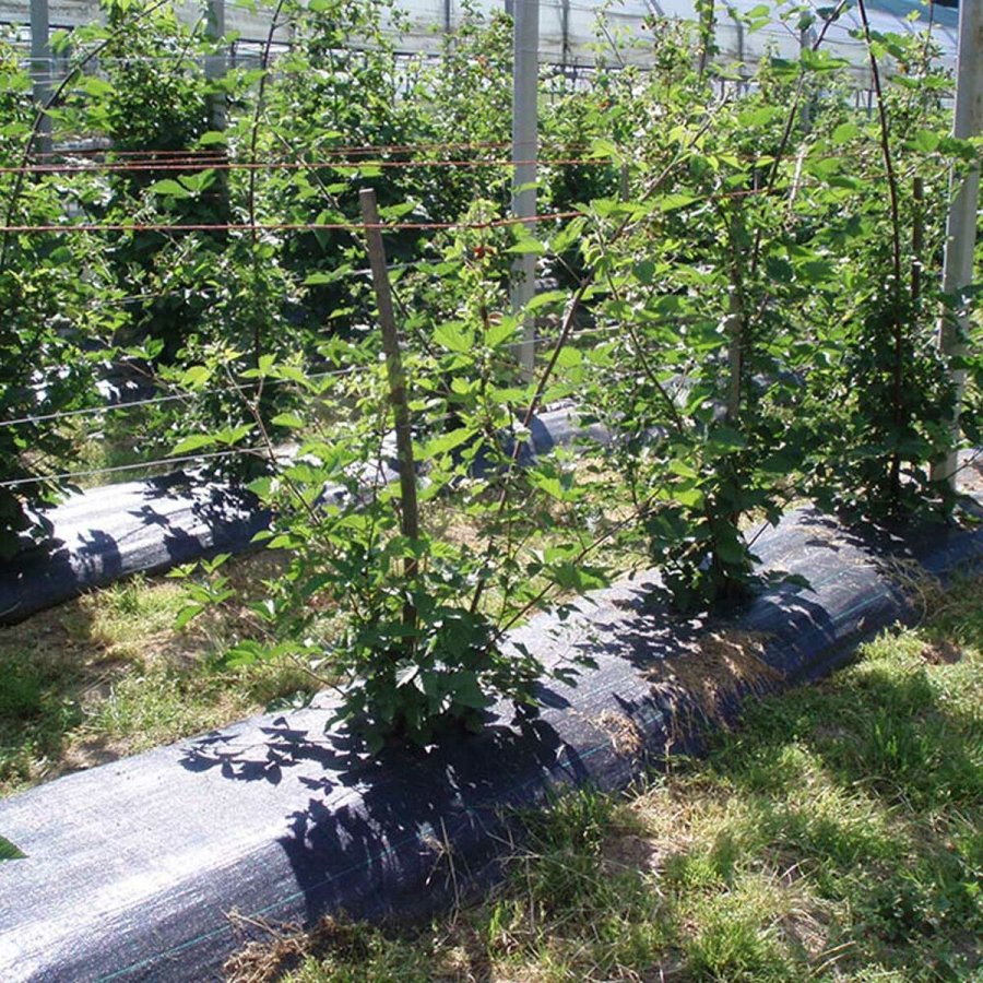 Net til ukrudtsbekmpelse Fun&Go Sort 100 g/m 2 x 100 m #2