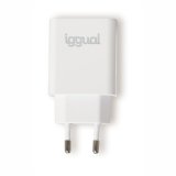 Vgoplader iggual IGG318164 20 W #4