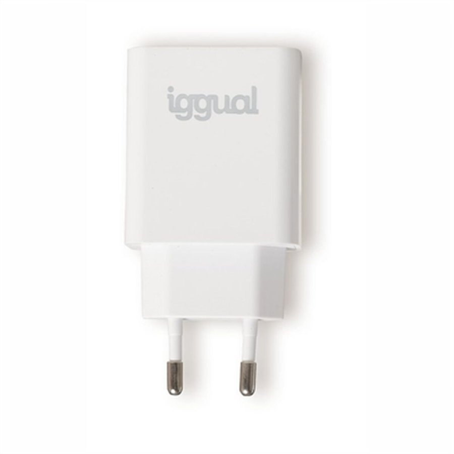 Vgoplader iggual IGG318164 20 W #4
