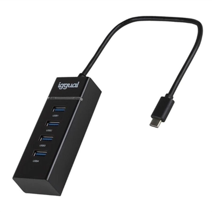USB Hub iggual IGG319239 #1