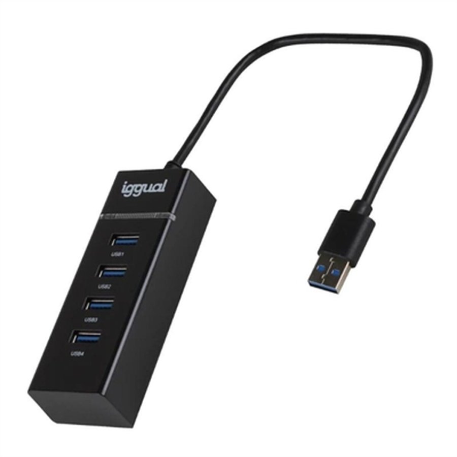 USB Hub iggual IGG319246 #1