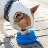 Udtrkkelig hundesnor 6-i-1 Compet InnovaGoods #7