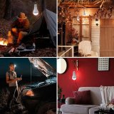 Solcellelampe New Garden 20 W #3