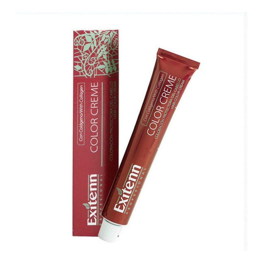 Permanent Farve Color Creme Exitenn 8436002833704 N 10/1 Natural Ash (60 ml) #1
