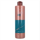 Shampoo Risfort 8436006868436 (500 ml) #1