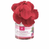 Luftfrisker Cristalinas Blomst Hindbr Brombr 40 ml #1