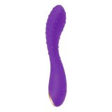 G-Punkt Vibrator S Pleasures Slender Lilla #1