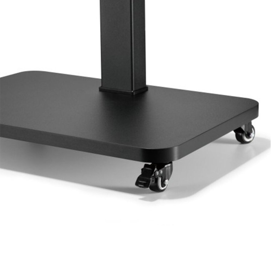 TV-holder TM Electron 40 kg #4