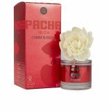 Luftfrisker Pacha PACHA IBIZA 95 ml #1