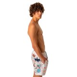Badet�j til M�nd Jimmy Lion BASQUIATBATMANSWIM-MULTICOLOR #4