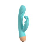 G-Punkt Vibrator Party Color Toys Bl #1