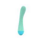 G-Punkt Vibrator Party Color Toys #1