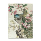 St med klder HappyFriday Multifarvet 70 x 50 cm Japansk (2 Dele) #11