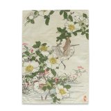St med klder HappyFriday Multifarvet 70 x 50 cm Japansk (2 Dele) #16