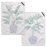 St med klder HappyFriday Multifarvet 70 x 50 cm Plante (2 Dele) #26