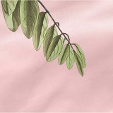 bundplastik HappyFriday Blooming Multifarvet 180 x 200 x 32 cm #6