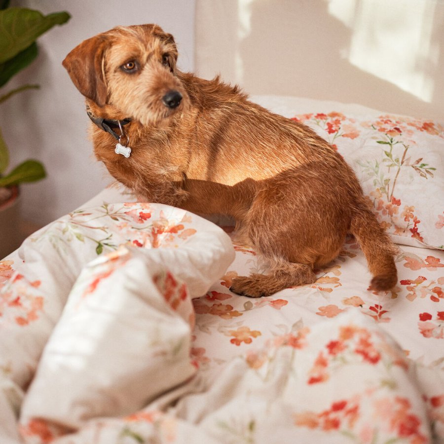 Nordisk cover HappyFriday Riomaggiore Multifarvet 155 x 220 cm #4