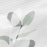 Pudebetrk HappyFriday Blanc Corymbia Multifarvet 50 x 75 cm (2 enheder) #5