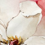 Pudebetrk HappyFriday White Peonies Multifarvet 80 x 80 cm #4