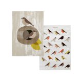 Karklud HappyFriday Nest Multifarvet 70 x 50 cm (2 enheder) #1