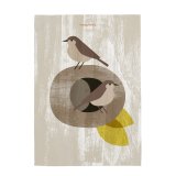 Karklud HappyFriday Nest Multifarvet 70 x 50 cm (2 enheder) #11