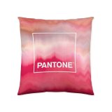 Pudebetrk Pantone Totem (50 x 50 cm) #1
