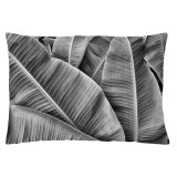 Pudebetrk Naturals MONE 1 Dele 30 x 50 cm #1