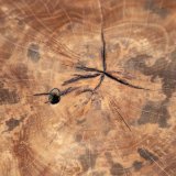 Sofabord Sort Natur 80 x 80 x 45 cm #5