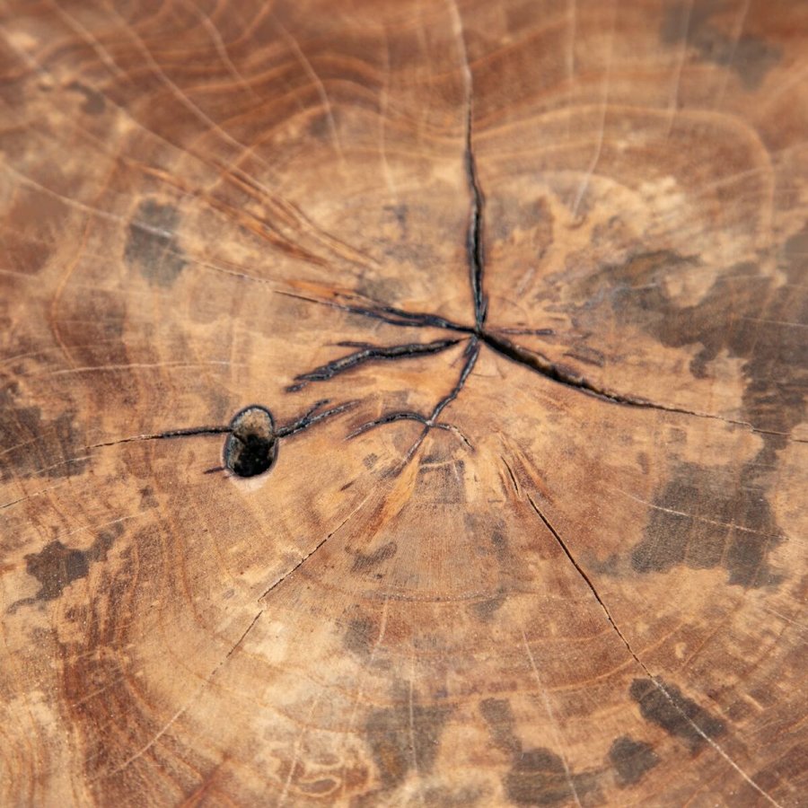 Sofabord Sort Natur 80 x 80 x 45 cm #5