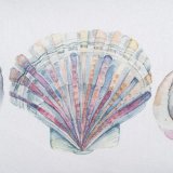 Pude 100% bomuld Muslinger 45 x 30 cm #4