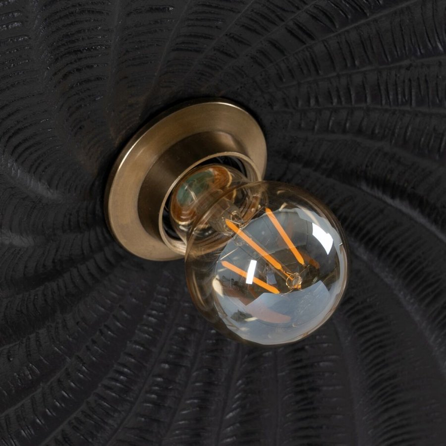 Vglampe Sort Aluminium Jern A 220-240 V 51 x 10 x 51 cm #4