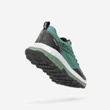 Herre sneakers Atom Atom At158 Terra V2 #4