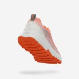 Sportssneakers til damer Atom Atom At159 Terra V2 #4