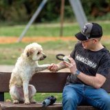 Legetj til hunde The Mandalorian #6