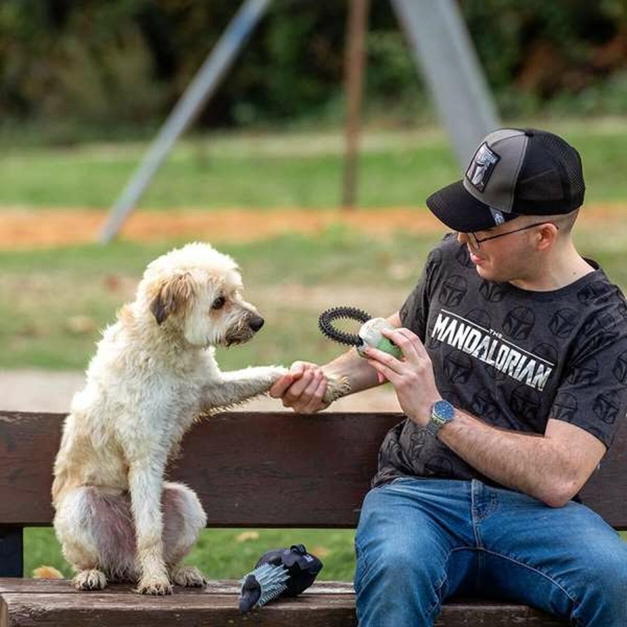 Legetj til hunde The Mandalorian #6