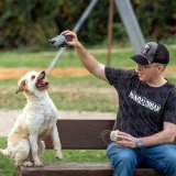 Legetj til hunde The Mandalorian #6