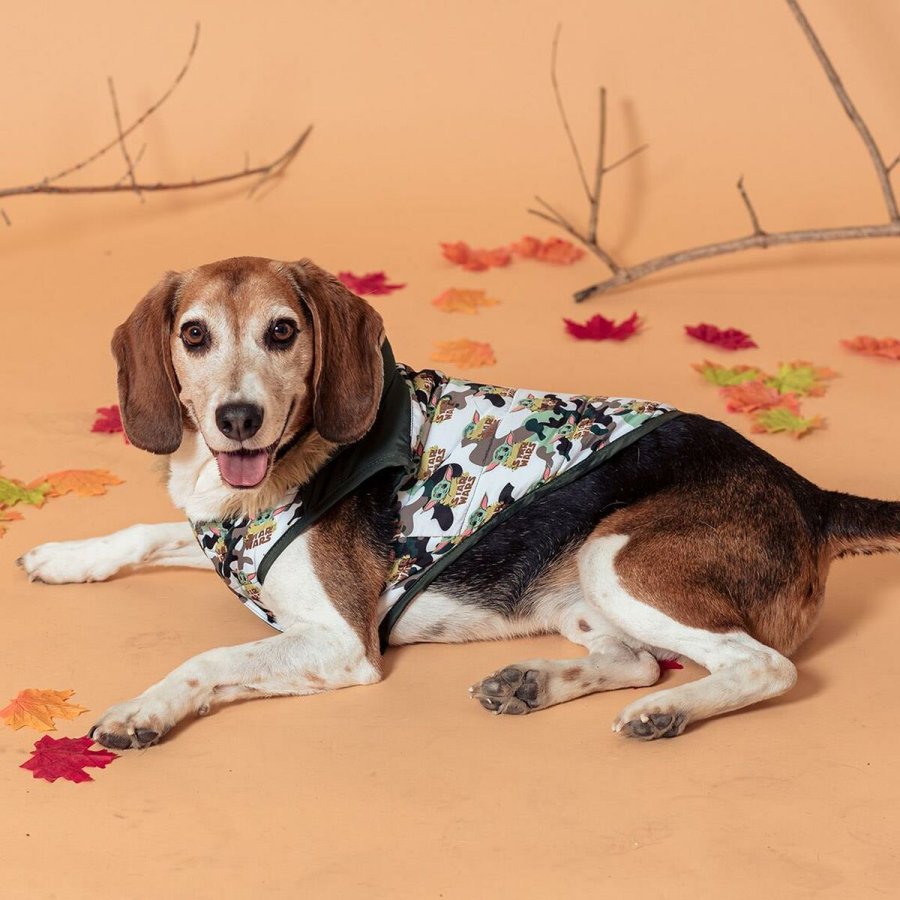 Hundefrakke The Mandalorian XS #5